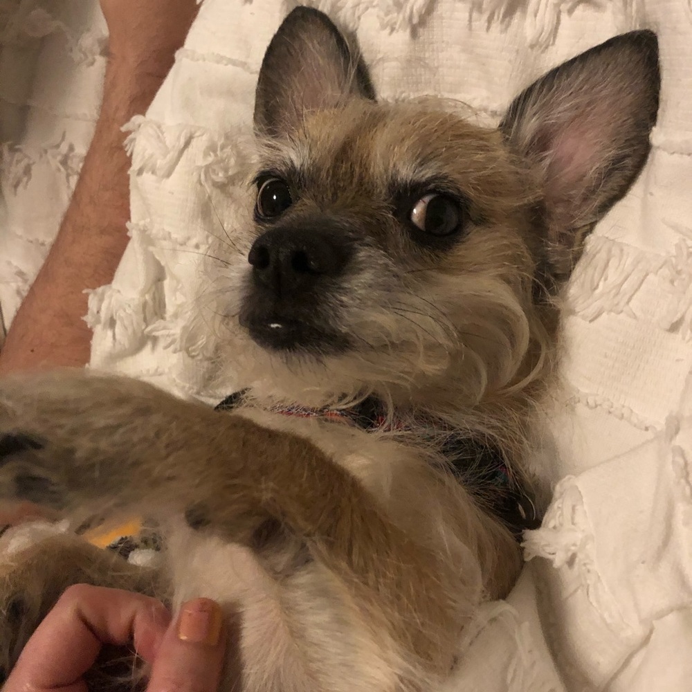 Meet your Posher, Kelly